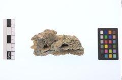 Foto von Gold (NHMW-MIN-Ai645)